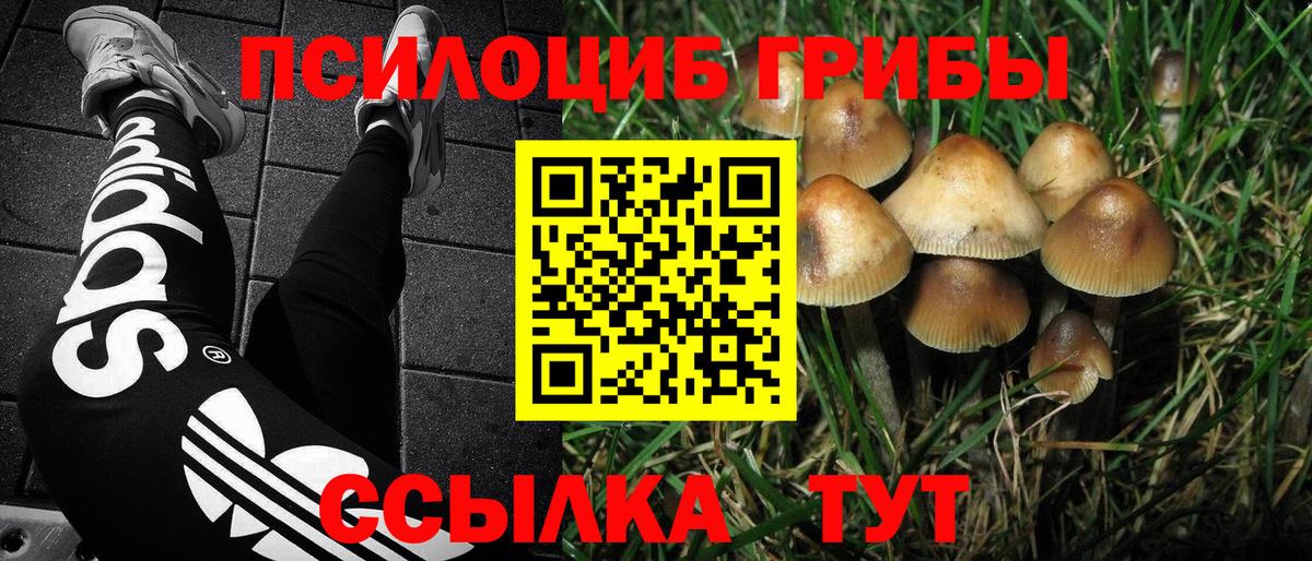 Урай  Галлюциногенные грибы GOLDEN TEACHER  Вход с VPN 